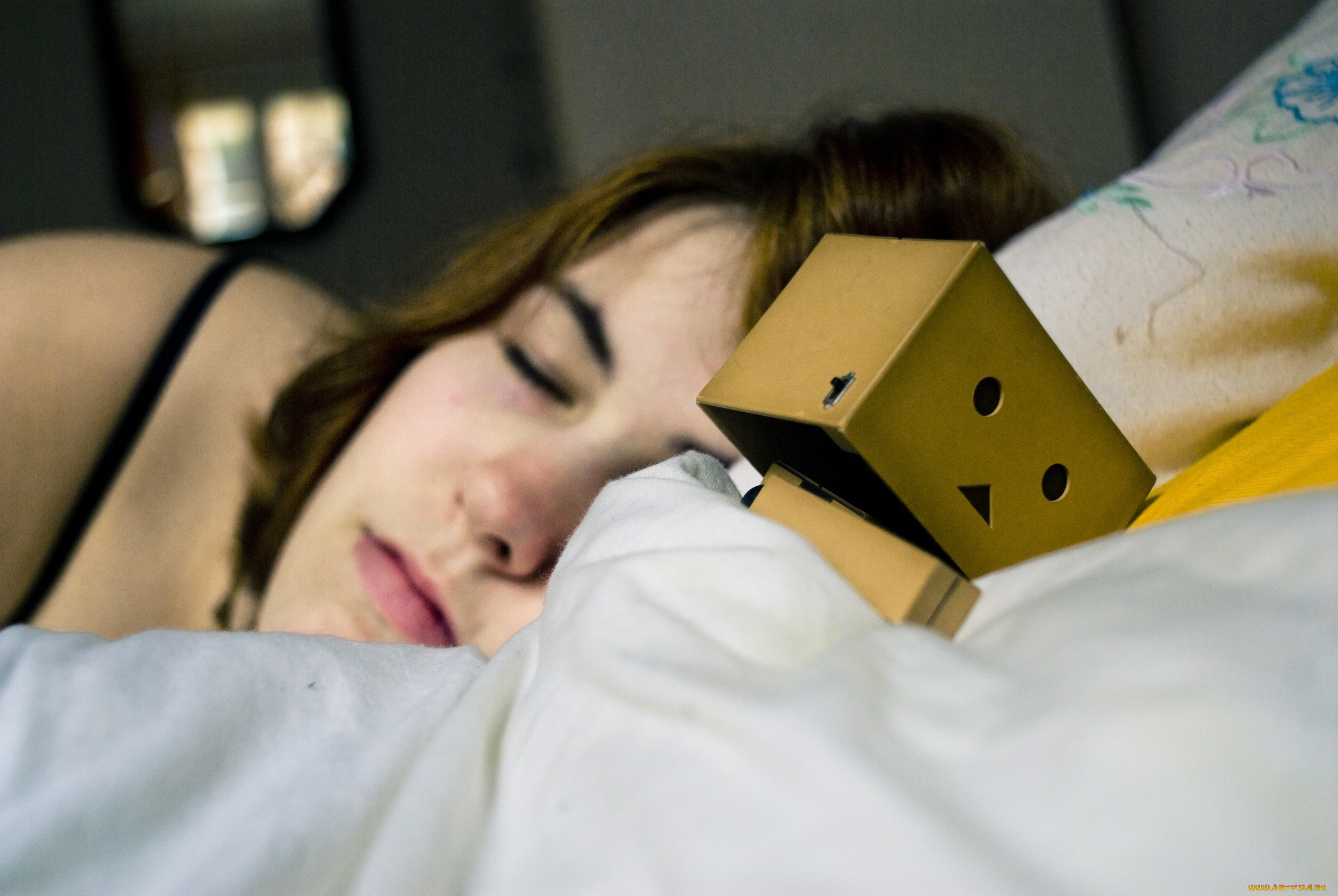 , , danboard